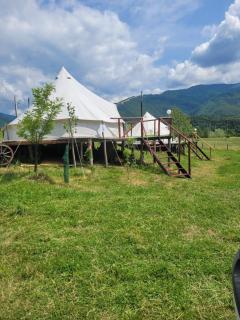Nucsoara Glamping Cozy - 7
