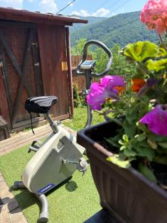 Chalet Husky-Pet Friendly&Private - 6