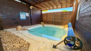 Liberty spa & suites - שלוש סוויטות ושתי ווילות מהממות עם בריכה פרטית - 5