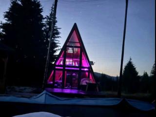 Cabana Corbilor The Raven's Hut - 8
