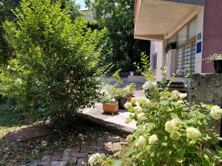 Hortensia - 4