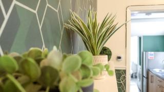 Beautiful 3 bedroom Flat - 7