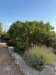 Mediterranean story - 5