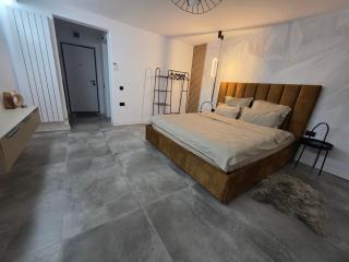 Ssalamandra home's - 9