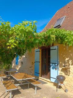 Domaine De Vic - 7