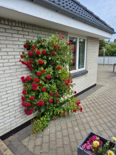 Marias house i Agger - 1