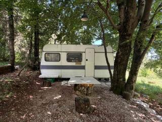 Domaćinstvo Pine Woods - 8