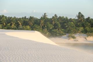 Vila hangloose Jericoacoara - 7