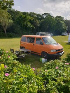 Morsø Camping - 1