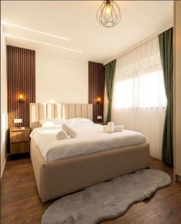 Le Lounge-Prestige Residence Euroairport - 9