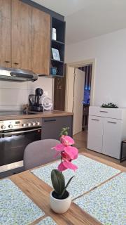 Apartman Brankovic - 9