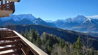 Cosy and Spacious Alpine Suite with Magnificent Views - 6