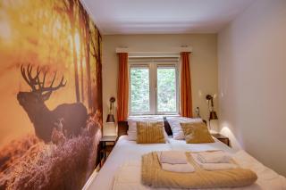 Heerlijk knus vakantiehuisje in het bos - 7