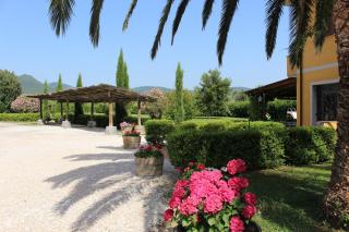 Agriturismo Eucaliptus - 0