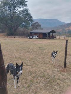 Faith Cabin - 6