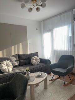 Apartman Tea Banja Koviljaca - 9