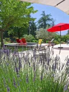 Studio Lumineux avec jardin & piscine à Vaison la Romaine - 6