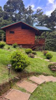 Entre Árboles Lodge - 8