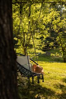 Agroturystyka Akacjowe Zacisze- pokoje ze śniadaniami, sauna, balia, tarasy wśród drzew, slow life - Stańkowa - 6