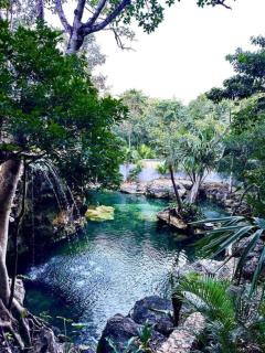 Family Home with Patio, Shared Pool & Cenote - 3