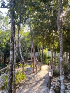 Family Home with Patio, Shared Pool & Cenote - 1