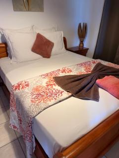 LES VILLAS PAMEYAQUE 2 F2 avec 1 piscine, 1 F3 avec 1 piscine privée, Superbe Vue Mer - 3