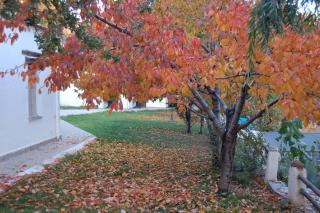 Camping El Balcon de Pitres - 2