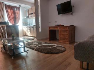 Teona Apartament Targu Neamt - 8