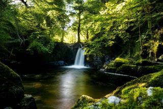 Wester Auchraw Croft B&B - 1