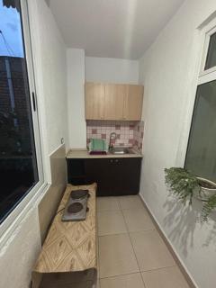 Topciu's Lake Appartments - 7