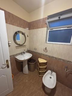 Topciu's Lake Appartments - 9