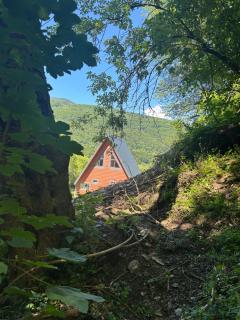 Hidden gem by the stream - 1