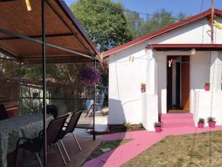 Olive cabin - Kuća maslina i mira u Đenovićima! - 5