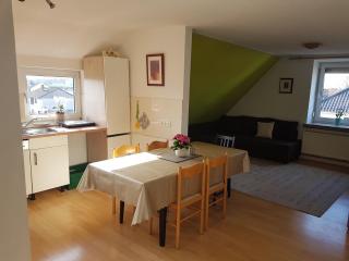 Große Ferienwohnung 84qm mit Garten in Wunstorf - 4