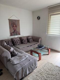 Apartment Pantovic - 5