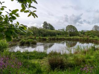 Renovated Barn with Pond View - 2