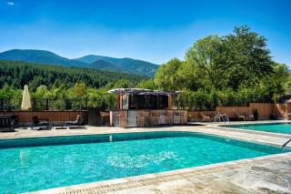 Premier Luxury Mountain Resort - 2