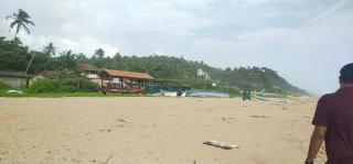 Dolphin beach - 6
