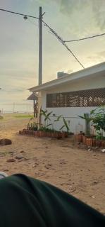 Dolphin beach - 3