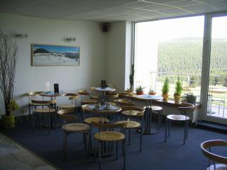 ALMET štúdio 404 - Donovaly - 4