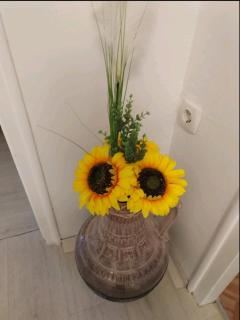 Sunshine - 4