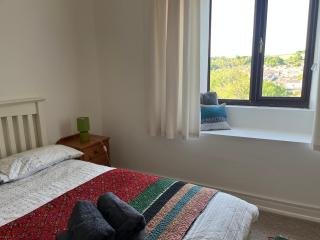 Large town flat 2 minutes from Pembroke Castle - 8