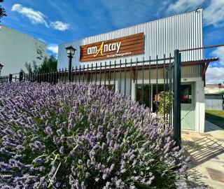 Amancay, Hostal Patagonico - 0
