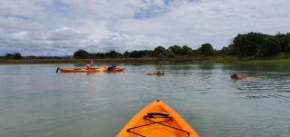 Sandbach - Ohiwa Harbour - 9