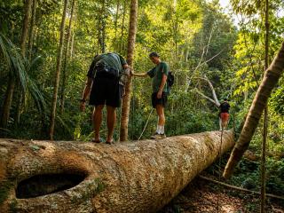 Amazon Anavilhanas Lodge - 3