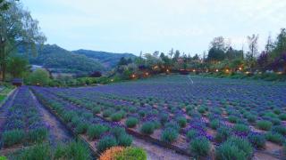 Herb Village - 5