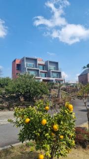 Oasis Pension - 1