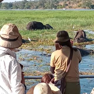 Chobe Kulotu Guest House - 7