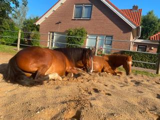 Equi Guidance Studio - 9
