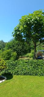 Ferienhaus Familie Zimmermann - 6